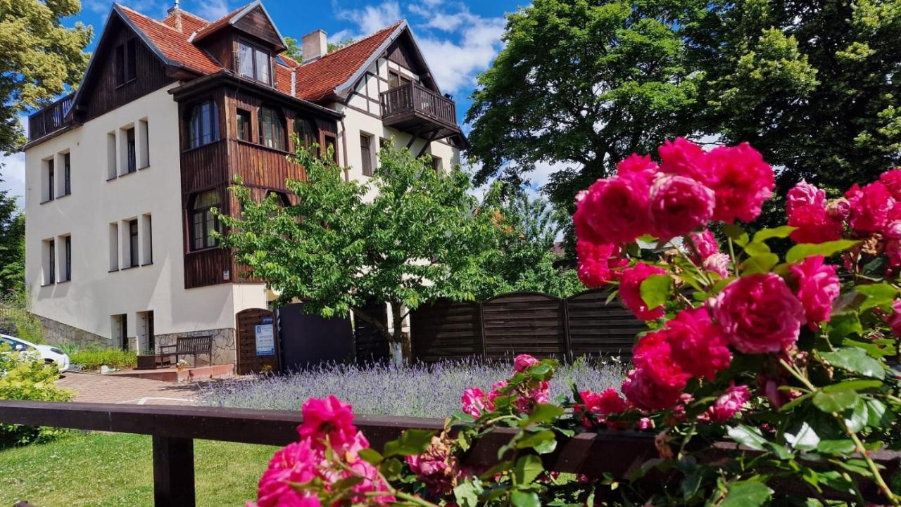 Willa Kwiaty Polskie Jedlina-Zdroj Exterior foto
